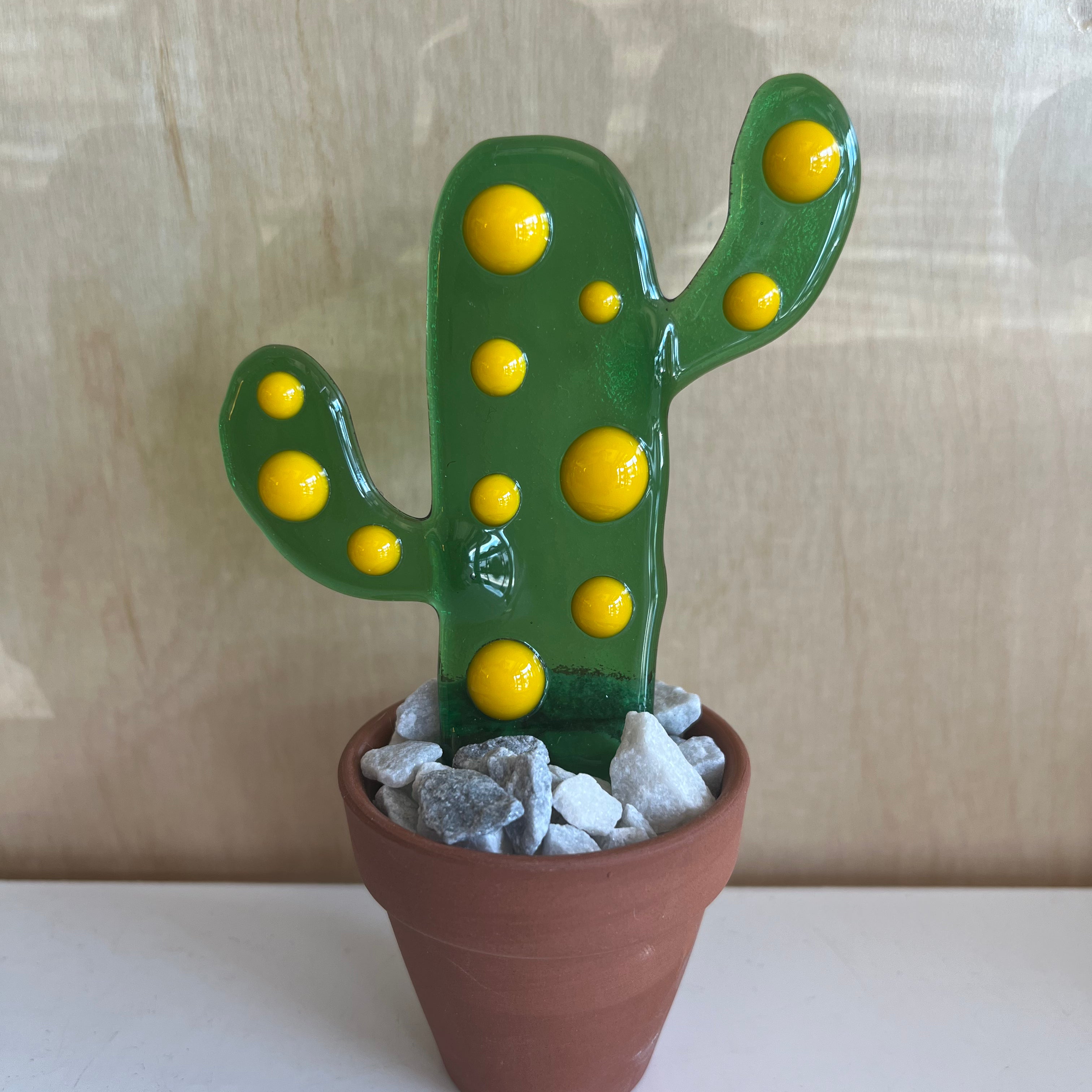 Spotted Cactus