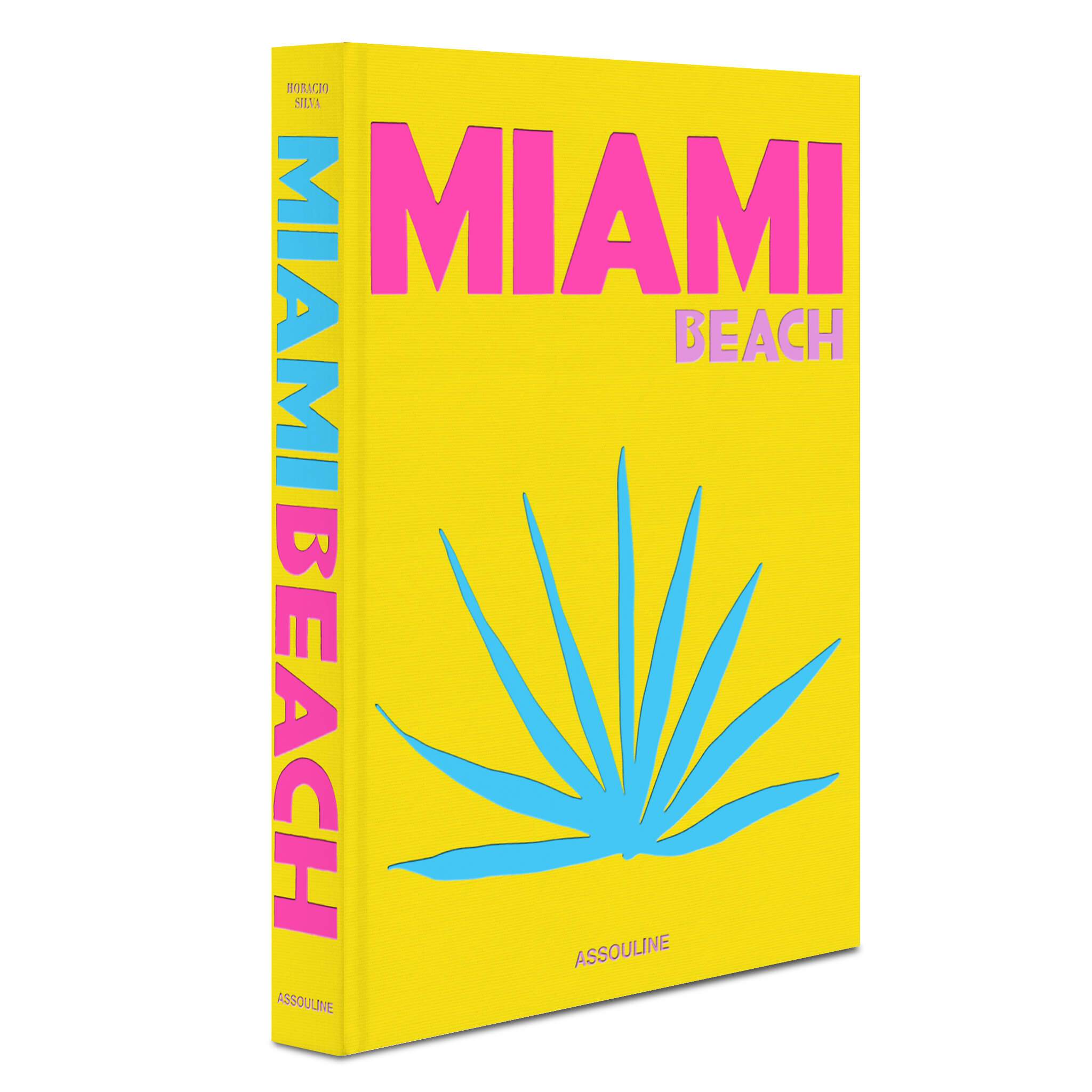Miami Beach Travel Book - Joy
