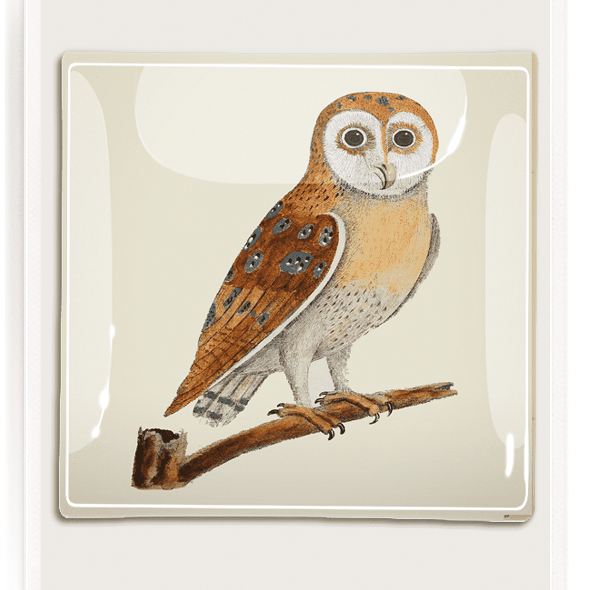 Owl Decoupage Tray - Joy