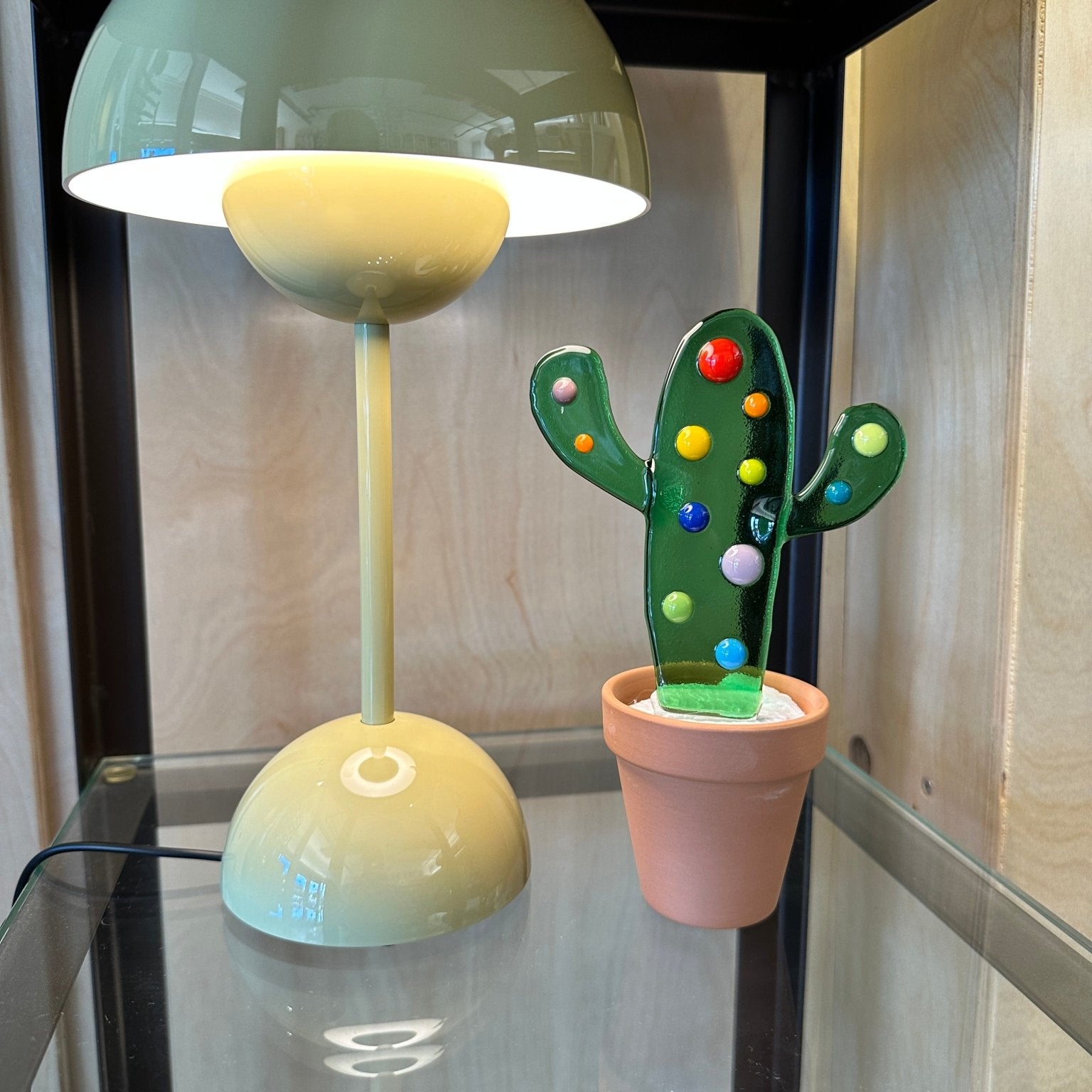 Spotted Cactus - Joy