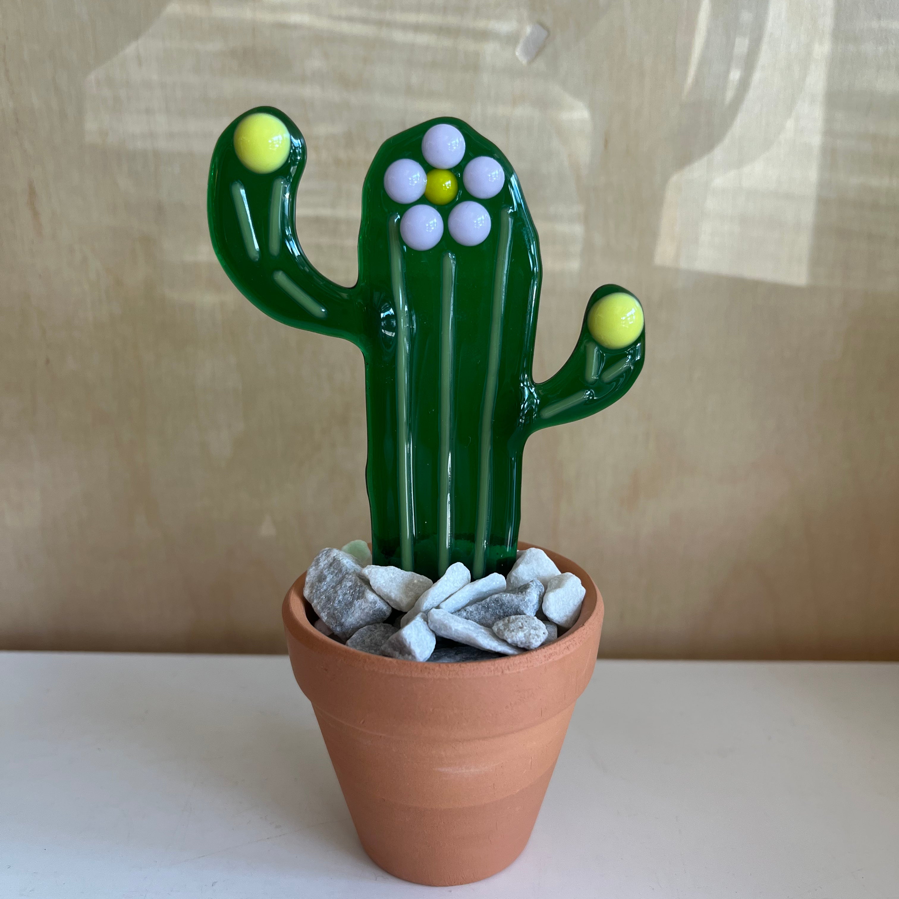 Flower Striped Cactus