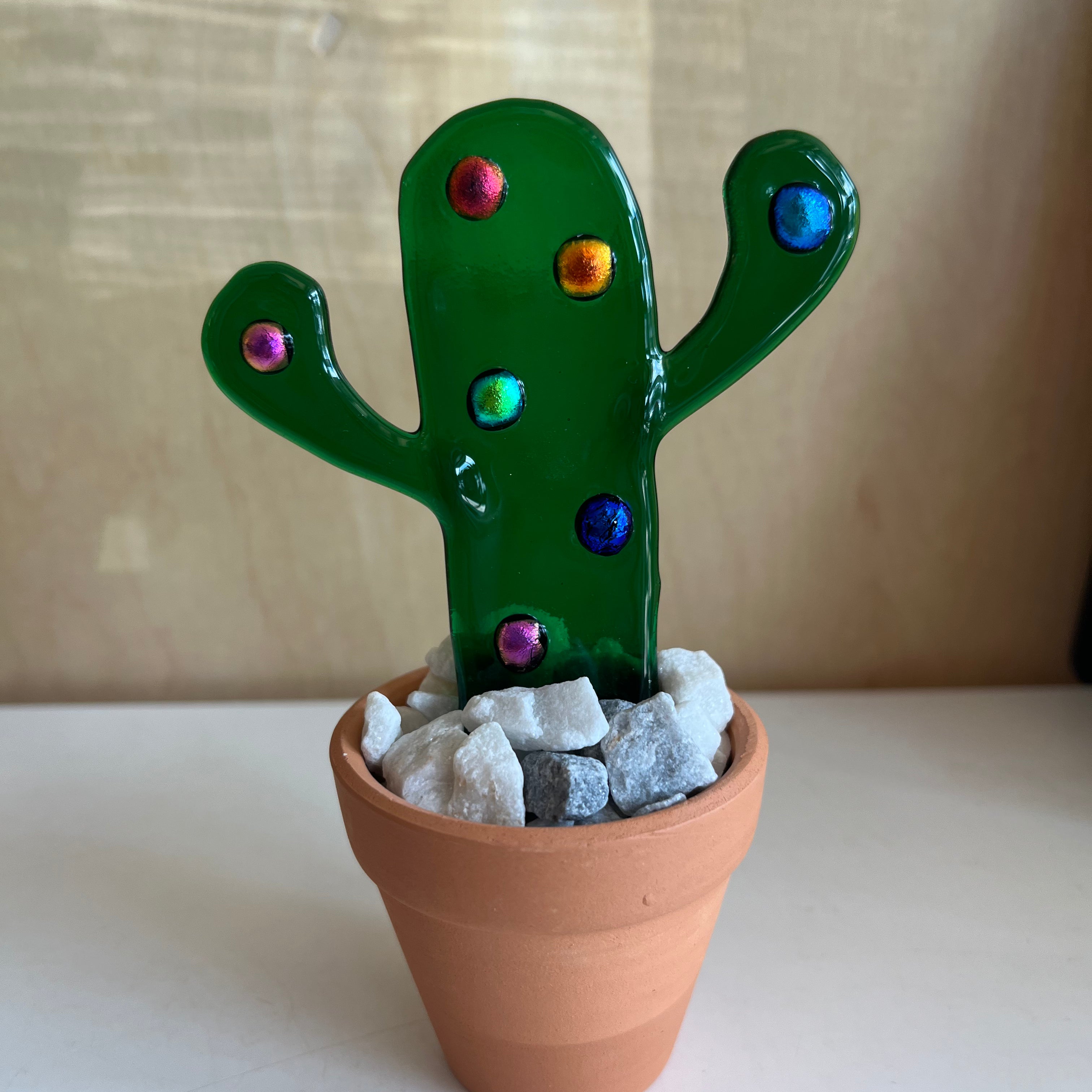 Spotted Cactus