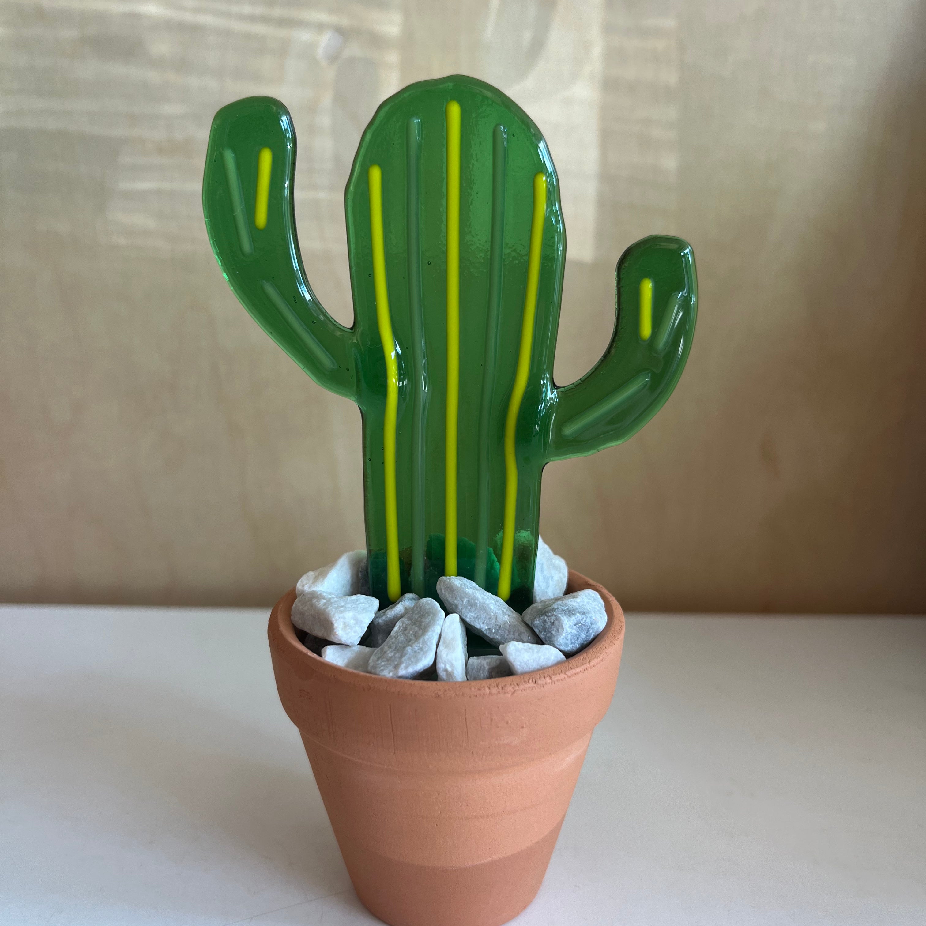 Striped Cactus