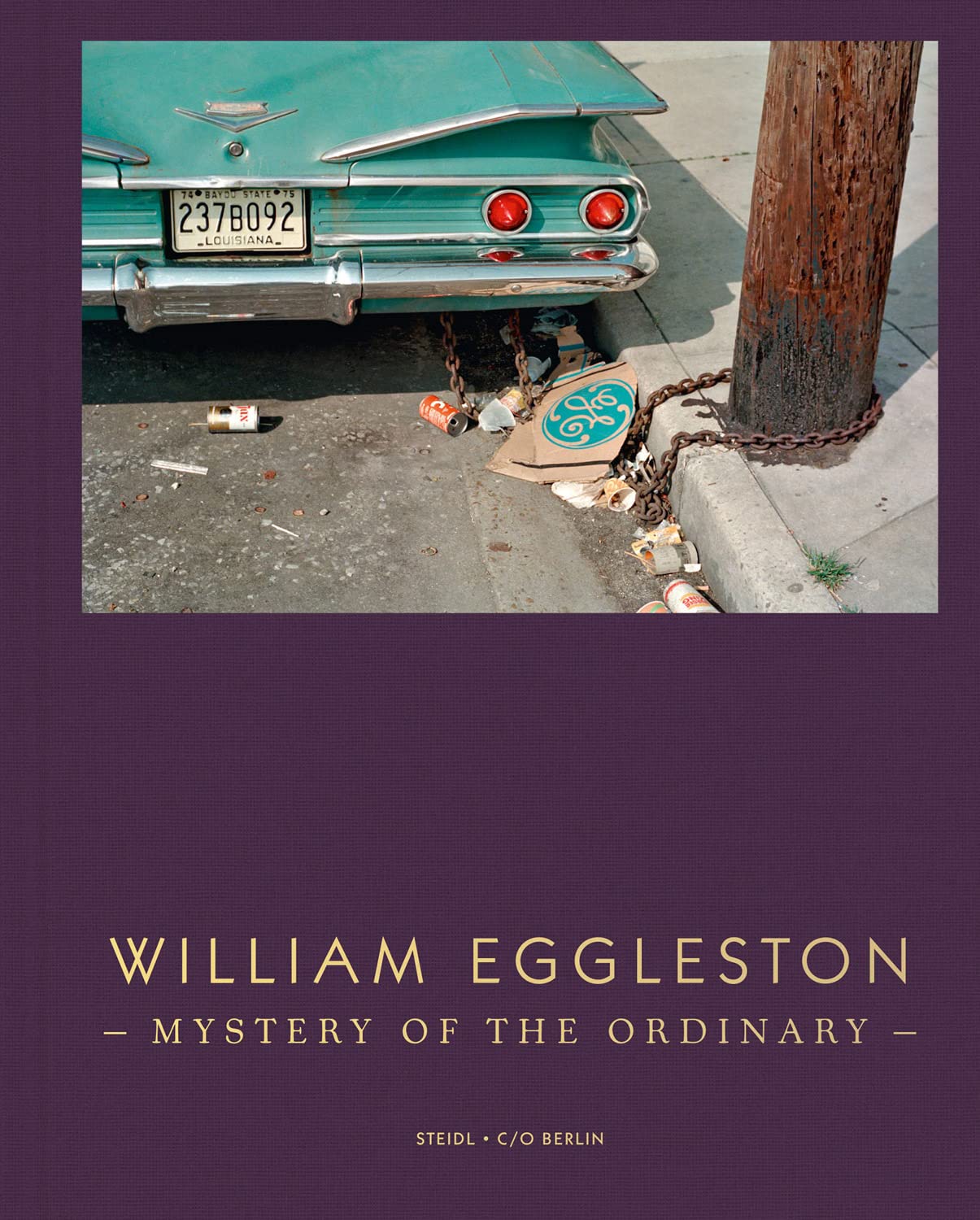 Eggleston: Mystery of the Ordinary - Joy