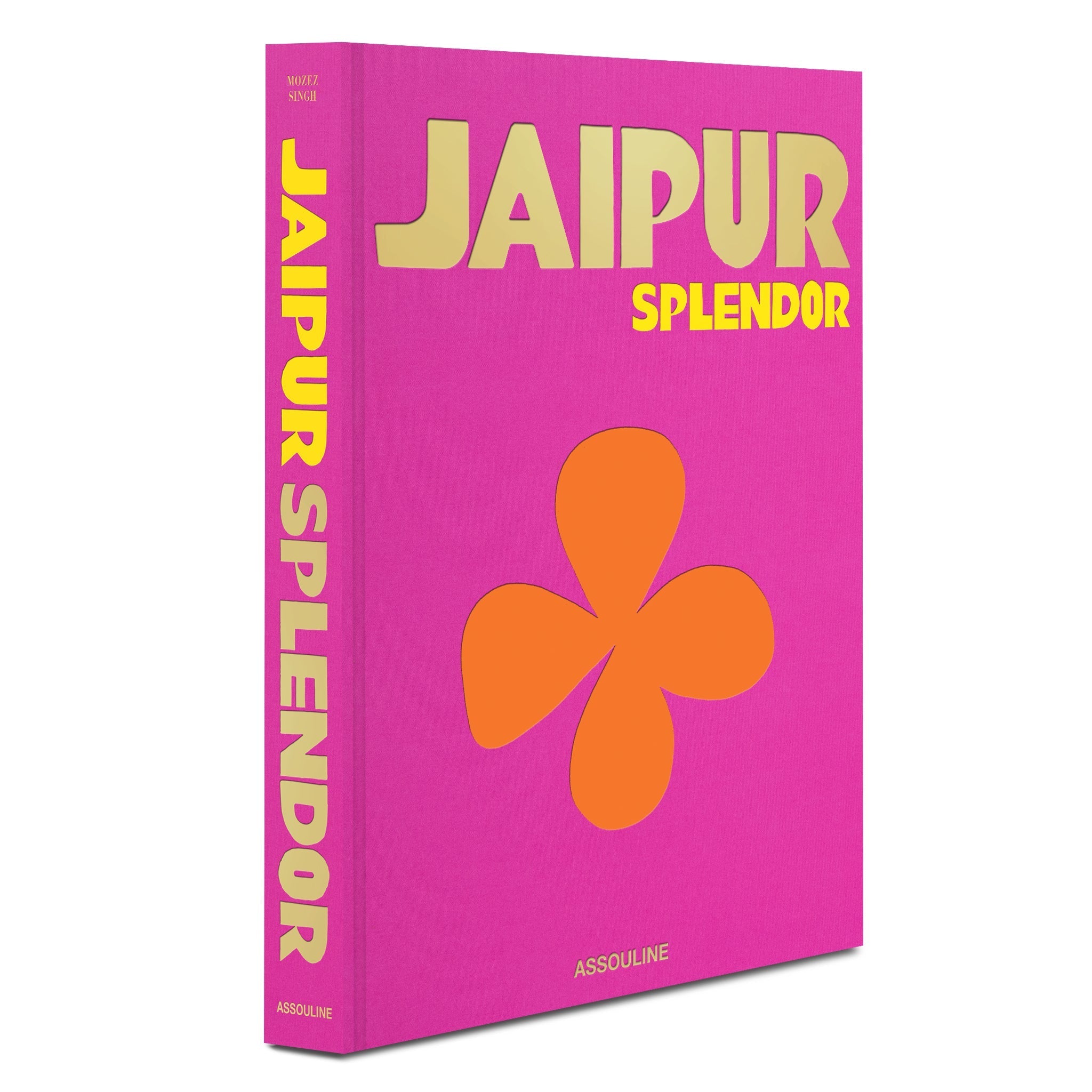 Jaipur Splendor Travel Book - Joy