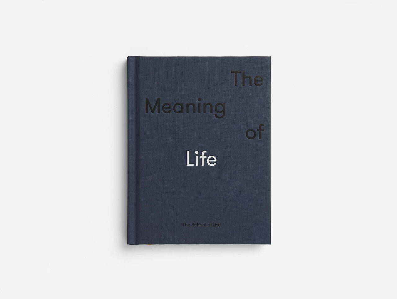 The Meaning of Life - Joy