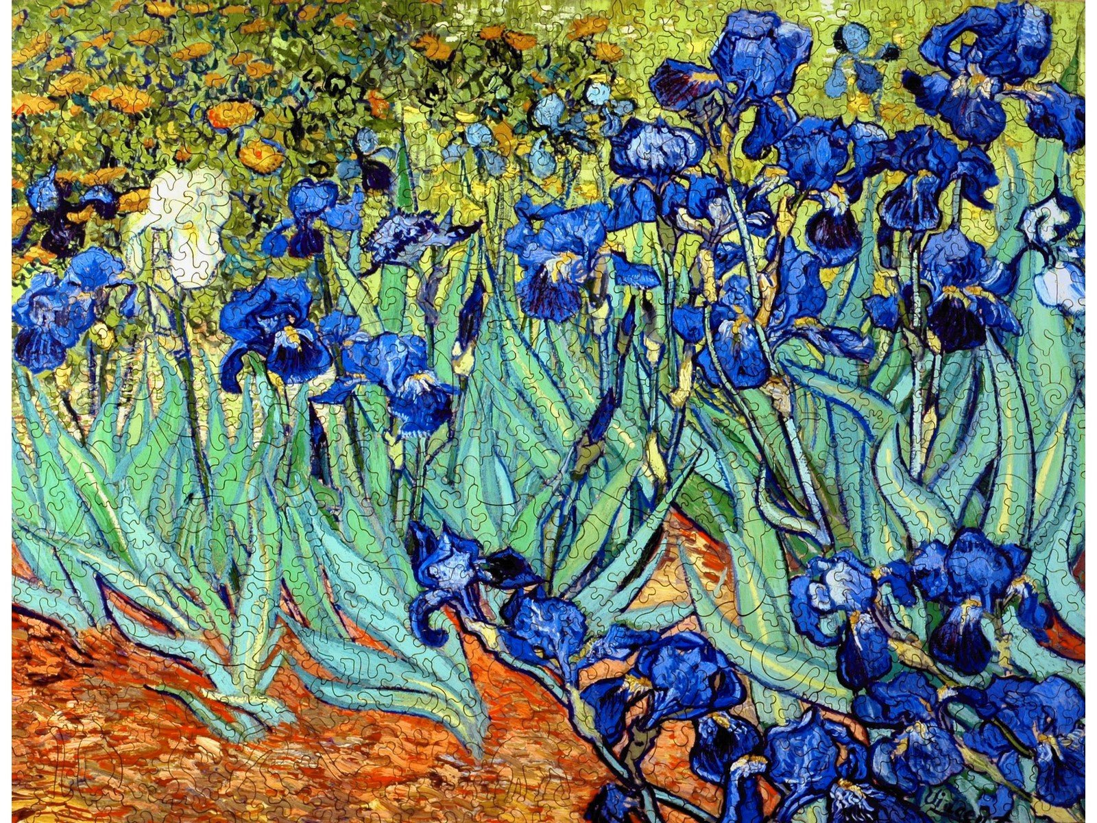 Van Gogh Irises Puzzle - Joy